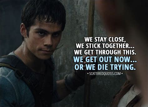 odd thomas quotes|60+ Best The Maze Runner Quotes From The Books And Movies.